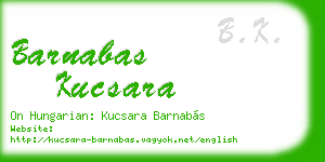 barnabas kucsara business card